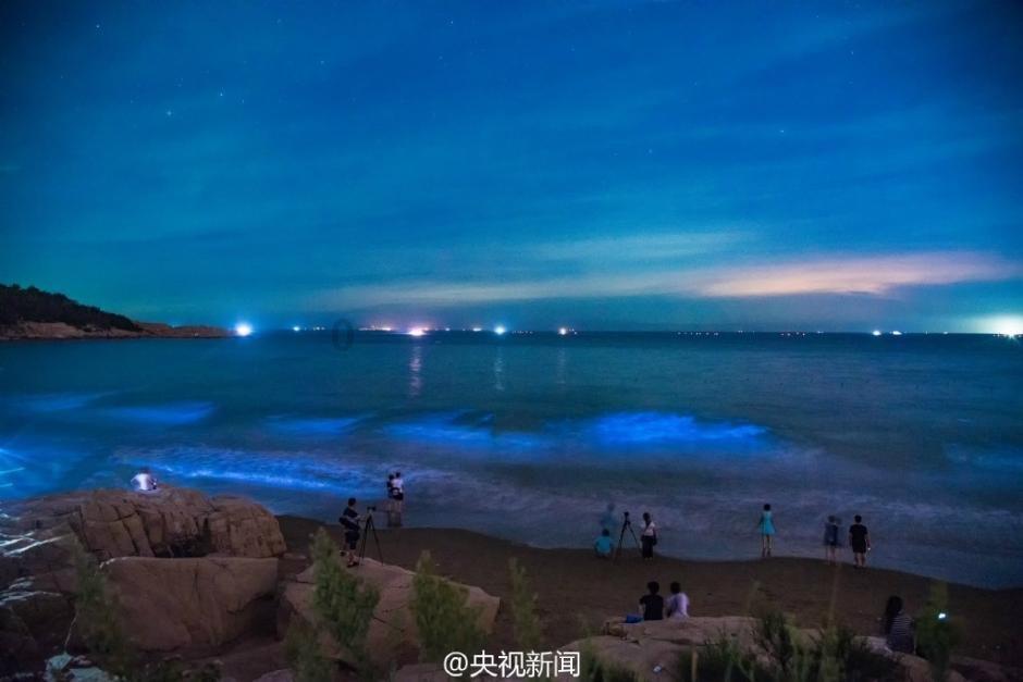 拯救穆尔小马