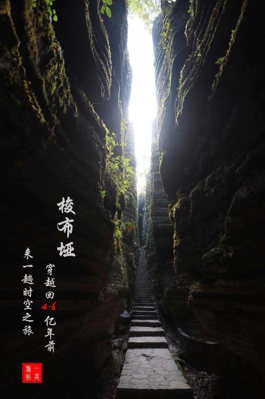 逗小猴开心系列212